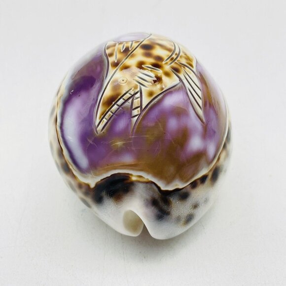 Cowrie Sea Shell Purple Top Hand Carved Engraved Swimming Shark Fish Beach Coast - Picture 9 of 9